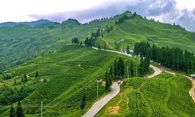 এক বাসেই যাওয়া যাবে বাংলাদেশ থেকে শিলিগুড়ি-দার্জিলিং