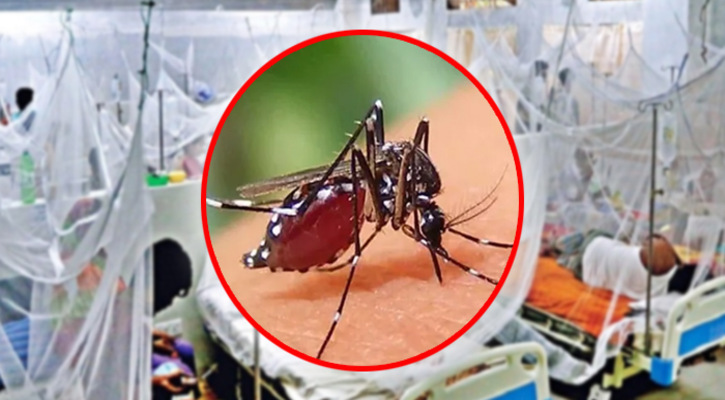 ডেঙ্গুতে আরও ১৩ জনের মৃত্যু, হাসপাতালে ২৭৪২
