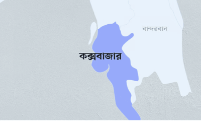 হাতির পায়ে পিষ্ট হয়ে এক ব্যক্তির মৃত্যু