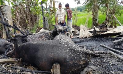 শরীয়তপুরে জেলা প্রশাসকের আর্থিক সহায়তা প্রদান