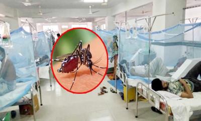 ডেঙ্গুতে ১১ জনের মৃত্যু, হাসপাতালে ভর্তি ২৯০৫