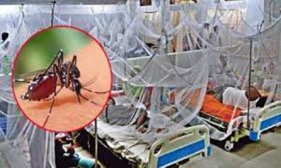ডেঙ্গুতে ১৩ জনের মৃত্যু, হাসপাতালে ২২৯১