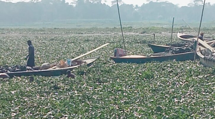 মতলবে সরকারি খাস জমির মাটি বিক্রী হচ্ছে ইট ভাটায়