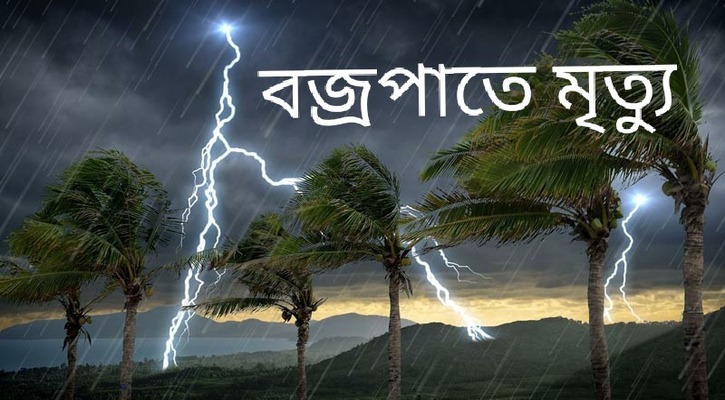 জমিতে ধান কাটতে গিয়ে বজ্রপাতে কৃষকের মৃত্যু