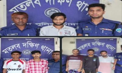 মতলব দক্ষিণে মাদক বিরোধী অভিযানে ৬ জন গ্রেফতার