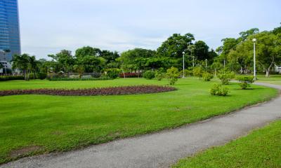 ক্লিন ও গ্রিন ঢাকা গড়তে নতুন পদক্ষেপের কথা জানালেন প্রধানমন্ত্রী