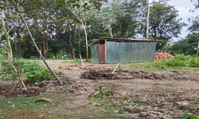 চুনারুঘাটে হিন্দু পরিবারের জমি দখলের চেষ্টা, আদালত এবং থানায় অভিযোগ
