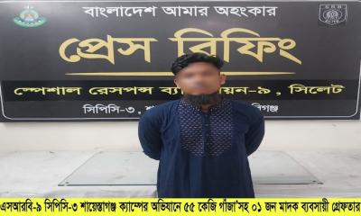 শায়েস্তাগঞ্জে ৫৫ কেজি গাঁজা সহ ১ মাদক ব্যবসায়ী গ্রেফতার
