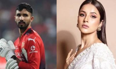 দেবদত্ত-শেহনাজ প্রেমে? এক মন্তব্যেই তুঙ্গে জল্পনা