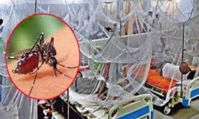 ডেঙ্গুতে আরও ২ জনের মৃত্যু, হাসপাতালে ভর্তি ৭১৫ — আক্রান্তের সংখ্যা ছাড়াল ৫১ হাজার