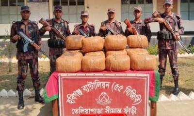 হবিগঞ্জে বিজিবির অভিযানে আড়াই লক্ষাধিক টাকার  ভারতীয় গাঁজা আটক