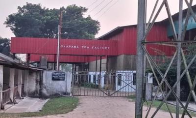নোয়াপাড়া চা বাগানে দুই বছর ধরে গ্যাস সংযোগ বিচ্ছিন্ন