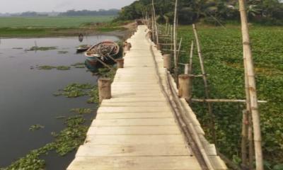 মতলবে এলাকাবাসীর উদ্যোগে ৫১০ ফুট কাঠের সেতু নির্মাণ