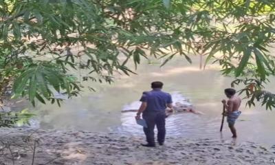 গোসাইরহাটে অজ্ঞাত  যুবকের লাশ উদ্ধার গোসাইরহাটে অজ্ঞাত  যুবকের লাশ উদ্ধার