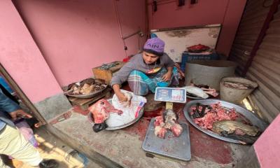 শরীয়তপুরে চুরি যাওয়া গরুর মাংসের সন্ধান মিলল কসাইয়ের দোকানে