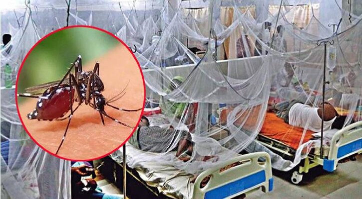 ডেঙ্গুতে আরও ৫ জনের মৃত্যু, হাসপাতালে ১১৩৯