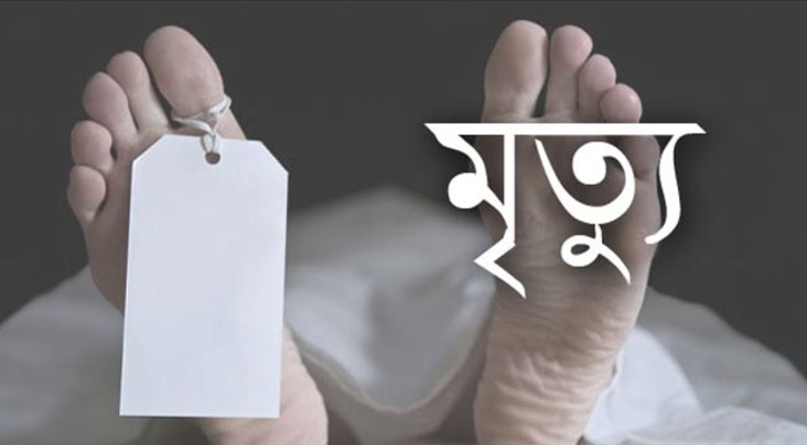 নয়াপল্টনে সড়ক দুর্ঘটনায় যুবকের মৃত্যু