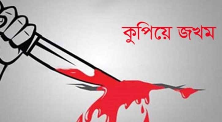 ডিস ব্যবসা নিয়ে সংঘর্ষ: বাকেরগঞ্জে ছাত্রদল নেতাকে কুপিয়ে আহত, দুজন গ্রেপ্তার