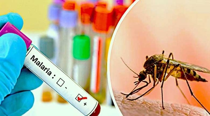 রাজধানীতে ম্যালেরিয়ার শঙ্কা, বাড়ছে উদ্বেগ