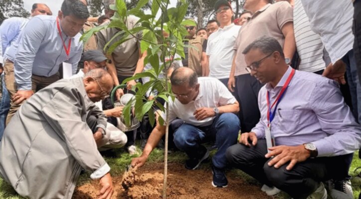পাঁচ বছরে ২৫ কোটি গাছ রোপণের পরিকল্পনা সরকারের: প্রধানমন্ত্রী