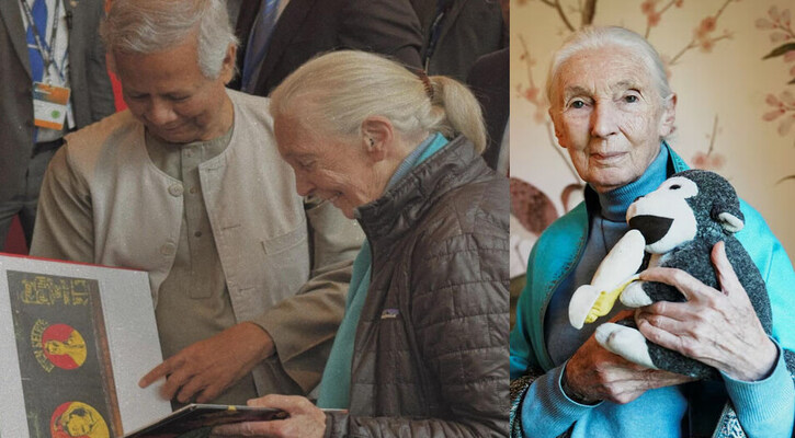 বিশ্বখ্যাত প্রাণিবিজ্ঞানী ড. জেন গুডলের মৃত্যুতে প্রধান উপদেষ্টার শোক