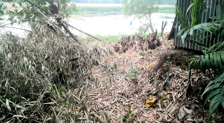 মতলবে বাঁশঝাড় ও গাছ কেটে জমি দখলের চেষ্টার অভিযোগ